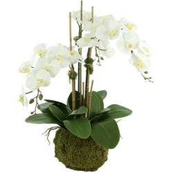 Incredibly lifelike drop in orchid arrangements (4 sizes)
