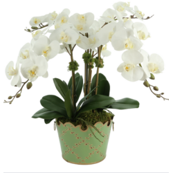 Fabulous three stem orchid in green trellis cache pot (5 color options)