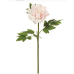 "Real touch" blush peony stems (box of 12)