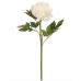 "Real touch" white peony stems (box of 12)