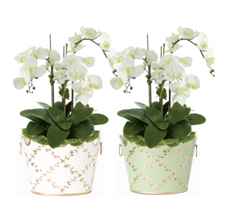 Fabulous 3 stem white phalaenopsis orchid planted in our trellis planter (2 colors)