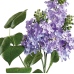 Amazing lifelike 26" lilac stems (box of 6 stems)