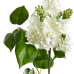 Amazing lifelike 26" white lilac stems (box of 6 stems)