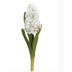 Fabulous lifelike 12.5" white hyacinth stems (box of 12)