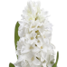 Fabulous lifelike 12.5" white hyacinth stems (box of 12)