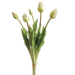 Gorgeous lifelike cream  tulip clusters (box of 6 clusters)