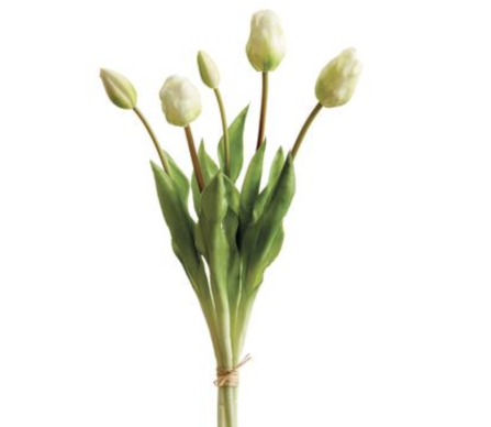 Gorgeous lifelike cream  tulip clusters (box of 6 clusters)