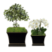 Chic black/gold tole flared planter (2 sizes)