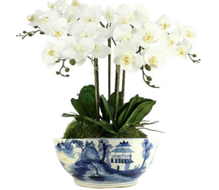Incredible 5 stem extra large orchid arrangement (white) 