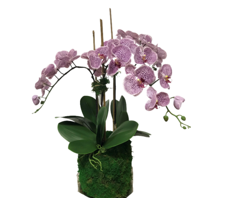 Incredible lifelike pink/purple drop in orchid arrangement (3 stem)