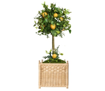 Gorgeous lemon topiary in wicker box planter (large)