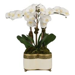 Beautiful three stem lifelike orchid in ivory fretwork planter