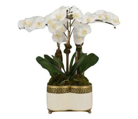 Beautiful three stem lifelike orchid in ivory fretwork planter