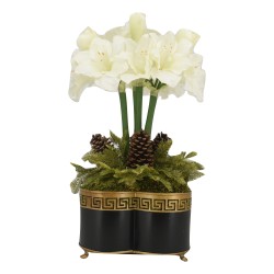 Spectacular four stem white amaryllis in black Greek key quatrefoil planter