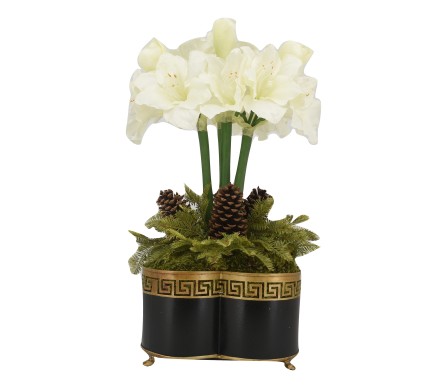 Spectacular four stem white amaryllis in black Greek key quatrefoil planter