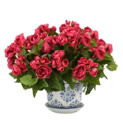 Rosy Pink Begonias in Darling Blue and White Planter