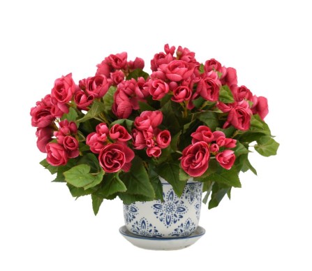 Rosy Pink Begonias in Darling Blue and White Planter