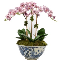Three Stem Pink Orchid in Antique Pheasant Bowl