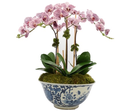 Three Stem Pink Orchid in Antique Pheasant Bowl