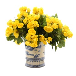 Yellow Begonia in Blue and White Tapered Planter