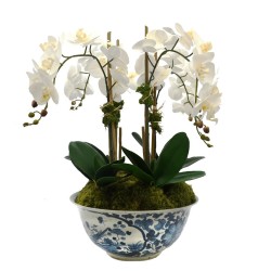 Four Stem White Orchid in Antique Pheasant Bowl