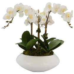 Three Stem White Orchid in Modern White Planter