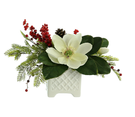 Small red amaryllis and evergreen arrangement in white lattice porcelain planter