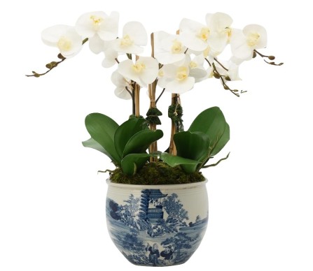 Three Stem White Orchid in Round Figurine Planter
