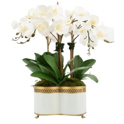 Four Stem White Orchid in Chinoiserie Tole Quatrefoil Pierced Planter