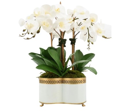 Four Stem White Orchid in Chinoiserie Tole Quatrefoil Pierced Planter
