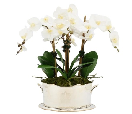 Four Stem White Orchid in Silver Planter with Etch Work