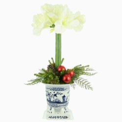 Stunning new white amaryllis arrangement in footed planter