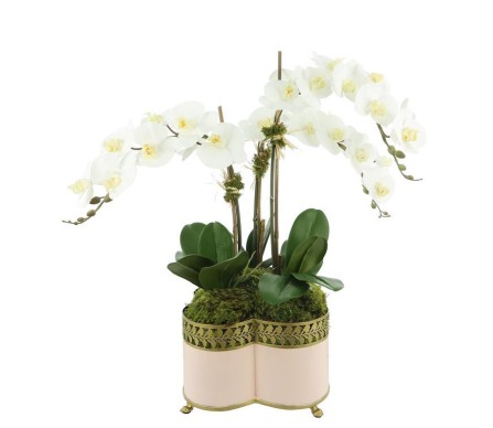 Incredible new lifelike orchid in pale pink quatrefoil planter