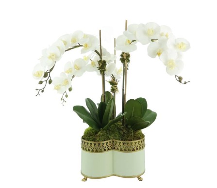 Incredible new lifelike orchid in pale green quatrefoil planter