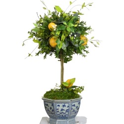 Gorgeous mid sized lemon and greenery topiary in trellis planter