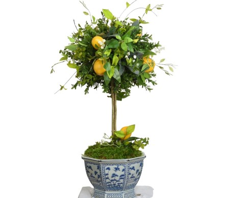 Gorgeous mid sized lemon and greenery topiary in trellis planter