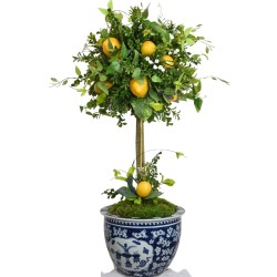 Incredible large lemon and greenery topiary  in cherry blossom fishbowl