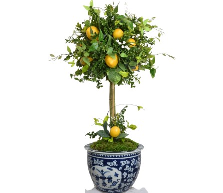 Incredible large lemon and greenery topiary  in cherry blossom fishbowl