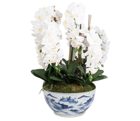 Unbelievable Six White Orchid Stems in Large Village Scene Bowl