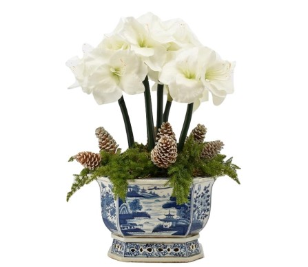 Fabulous 5 stem White Amaryllis and Pinecone
