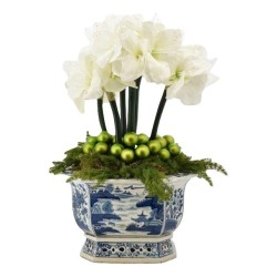 Gorgeous 6 stem white amaryllis, pinecone with holiday greens arrangement