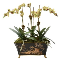 Incredible three stem green lifelike orchid in black/gold tole pot
