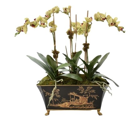 Incredible three stem green lifelike orchid in black/gold tole pot