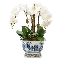 Four Stem Orchid in Square Figurine Scalloped Planter