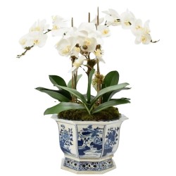 Incredible 3 stem white orchid arrangement in porcelain container