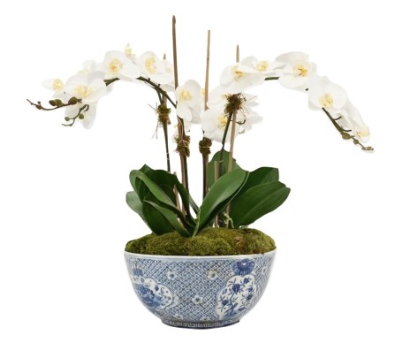 Incredible three stem white orchid arrangement in trellis porcelain bowl