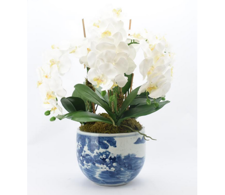 Incredible four stem white orchid arrangement in transitional planter