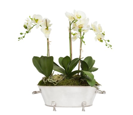 Three Stem Orchid in Oversized Silver Planter
