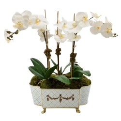 Three Stem White Orchid in Ivory and Gold Chinoiserie Tole Planter