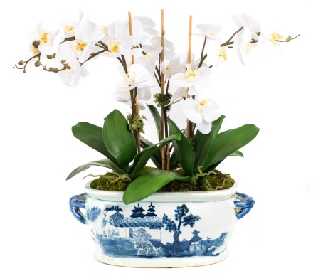 Four Stem White Orchid in Oval Planter with Braided Handle